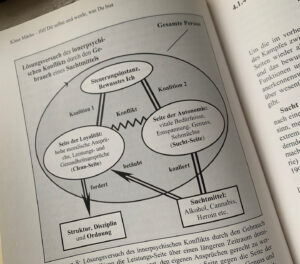 Bücher für eine systemisch fundierte Beratung